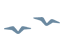 大雁动图.gif
